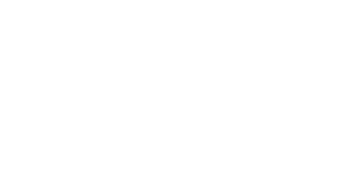 Minimal Media